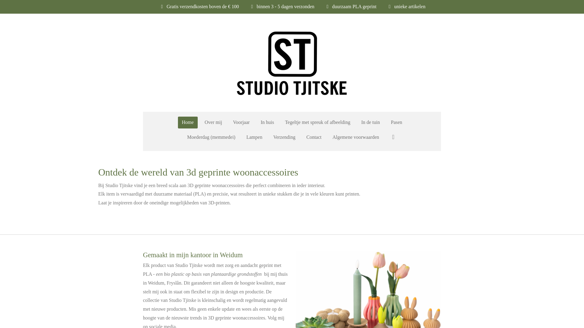 website screenshot of https://studiotjitske.nl