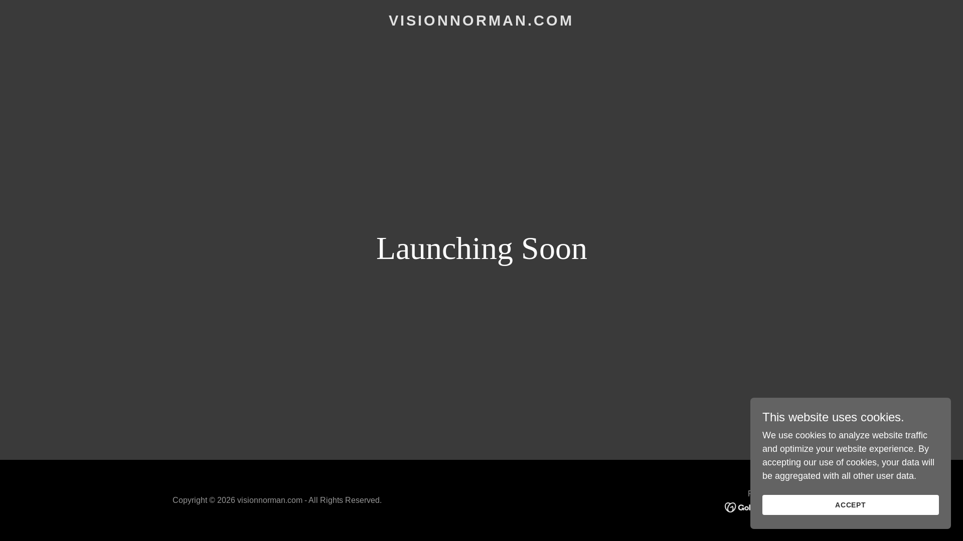 website screenshot of https://visionnorman.com/