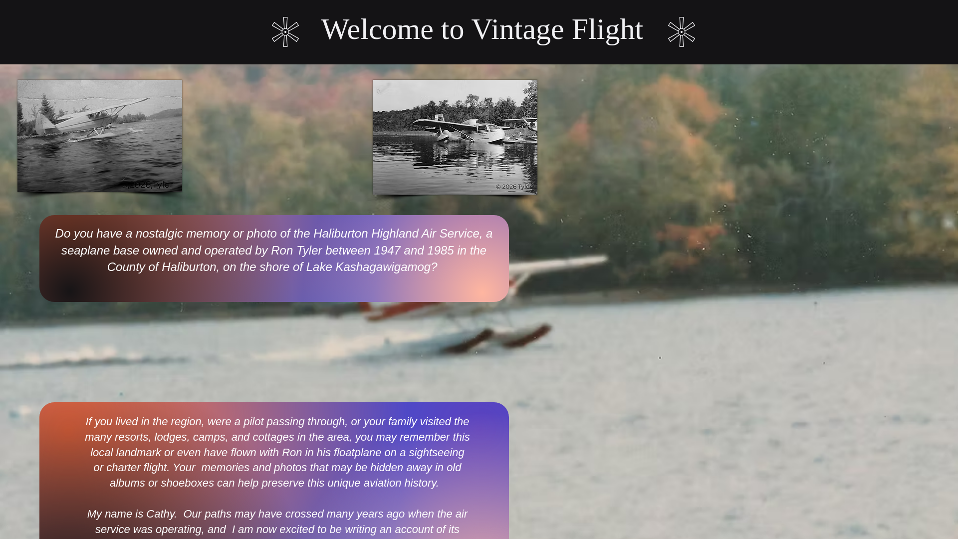 website screenshot of https://vintageflight.ca/