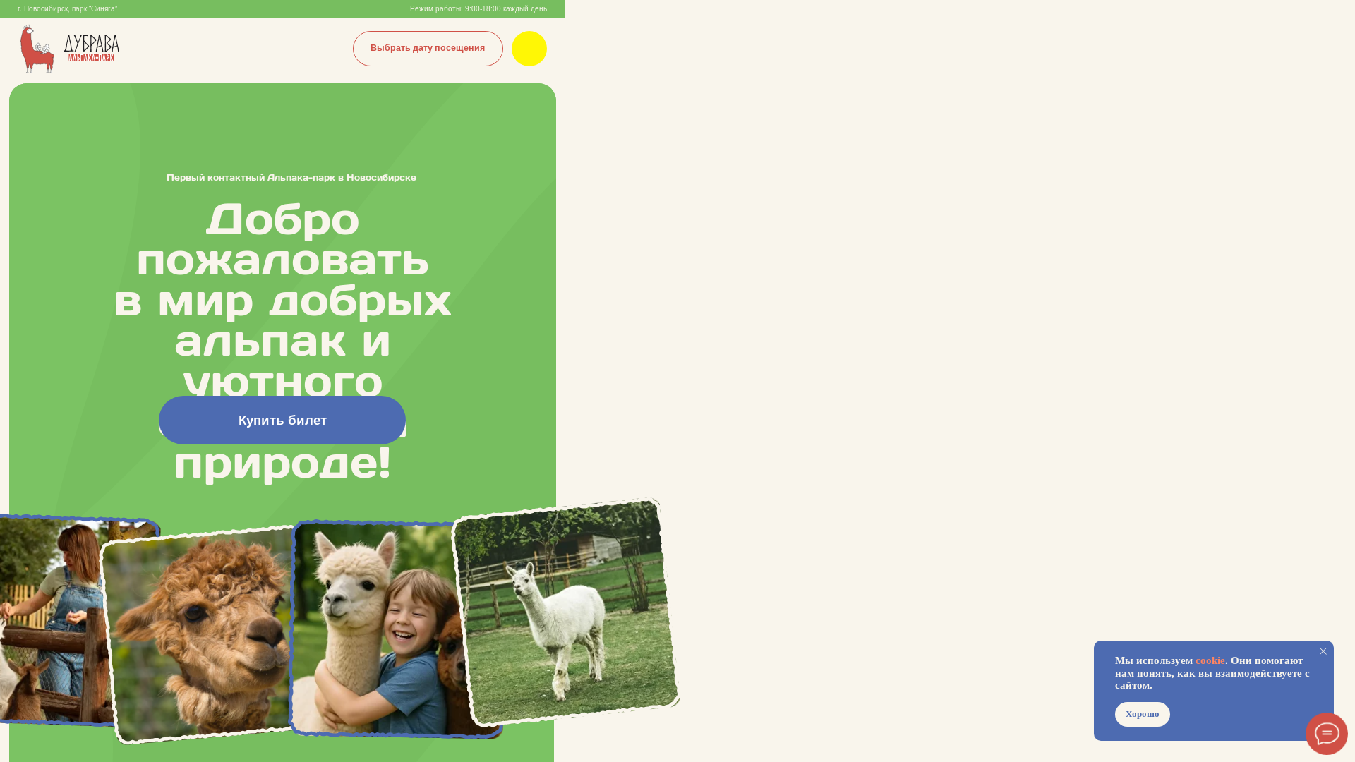 website screenshot of https://dubravansk.ru/