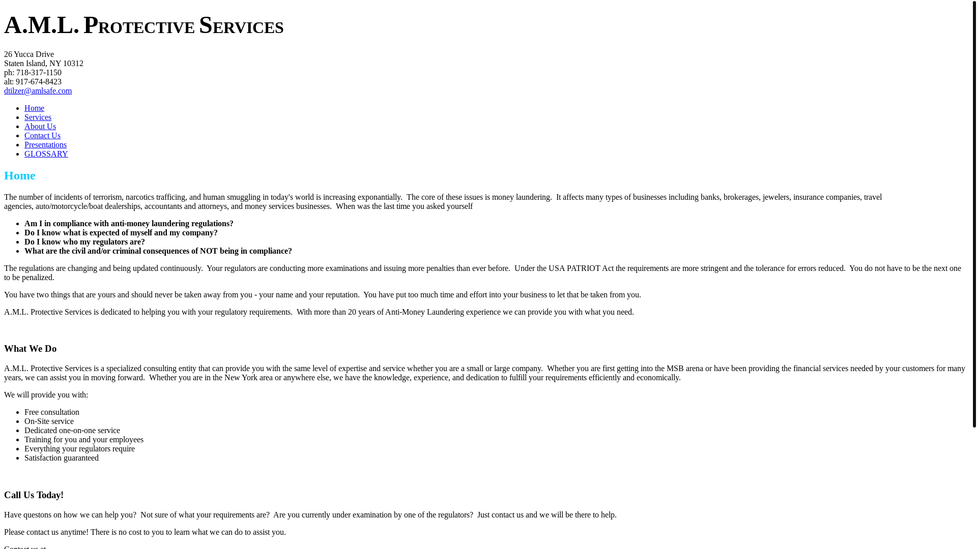 website screenshot of https://amlsafe.com/