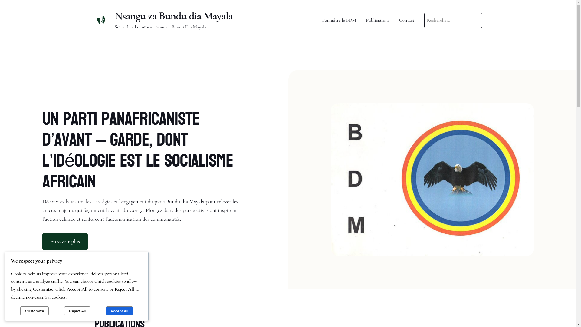 website screenshot of https://nsanguzabdm.com/