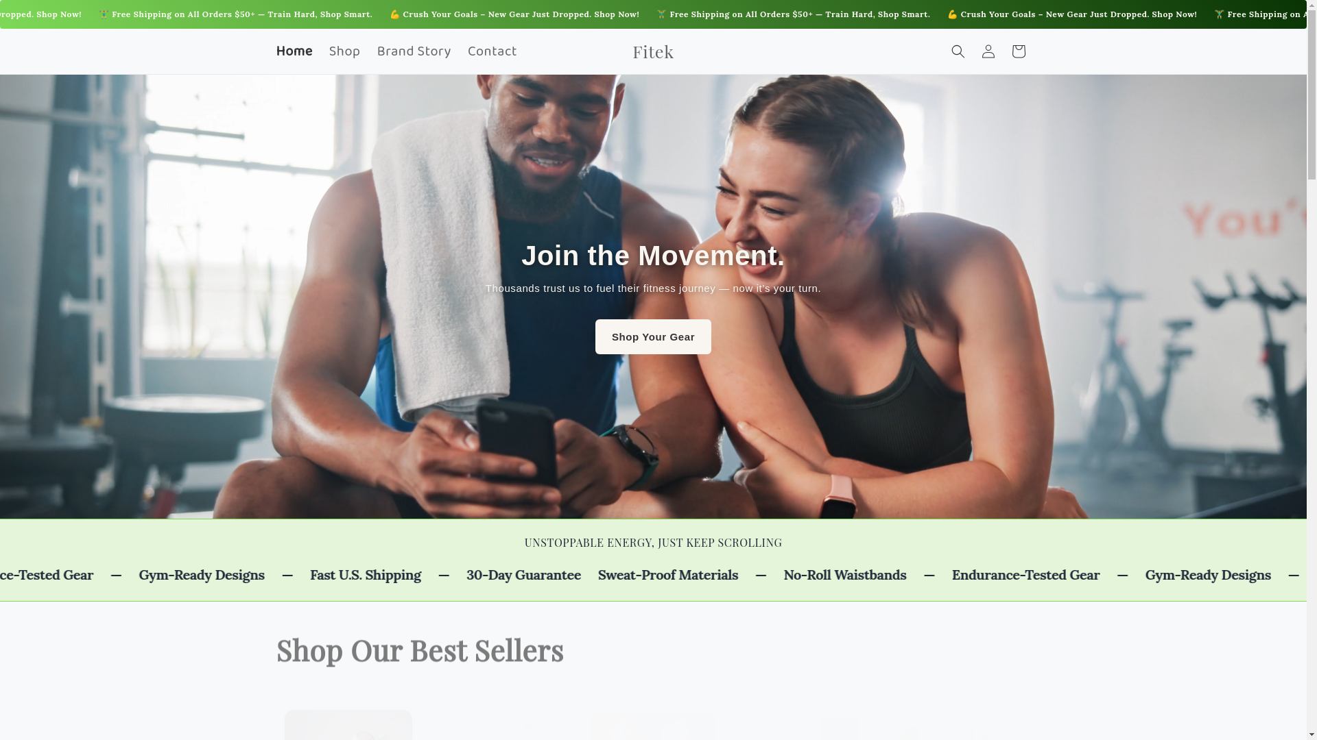 website screenshot of https://fitek.shop/