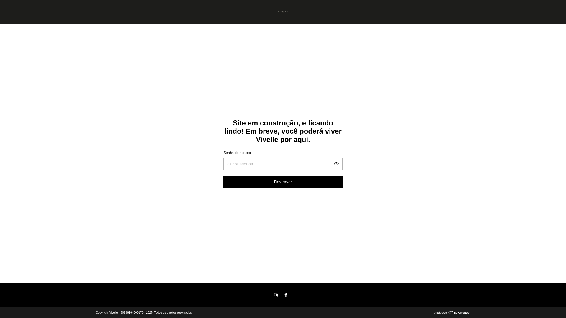 website screenshot of https://vivellefitness.com.br/