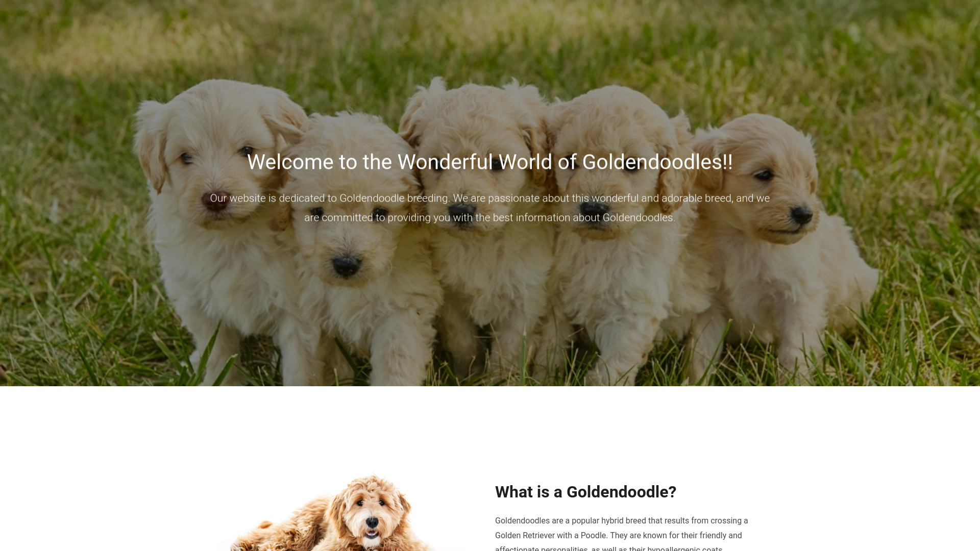 website screenshot of https://goldendoodlessandiego.com
