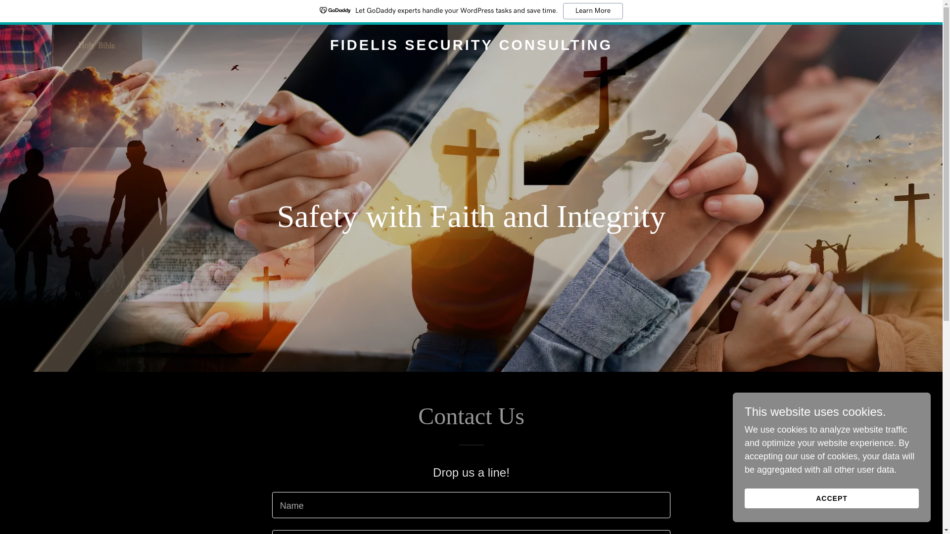 website screenshot of https://fidelissecurityconsulting.org/
