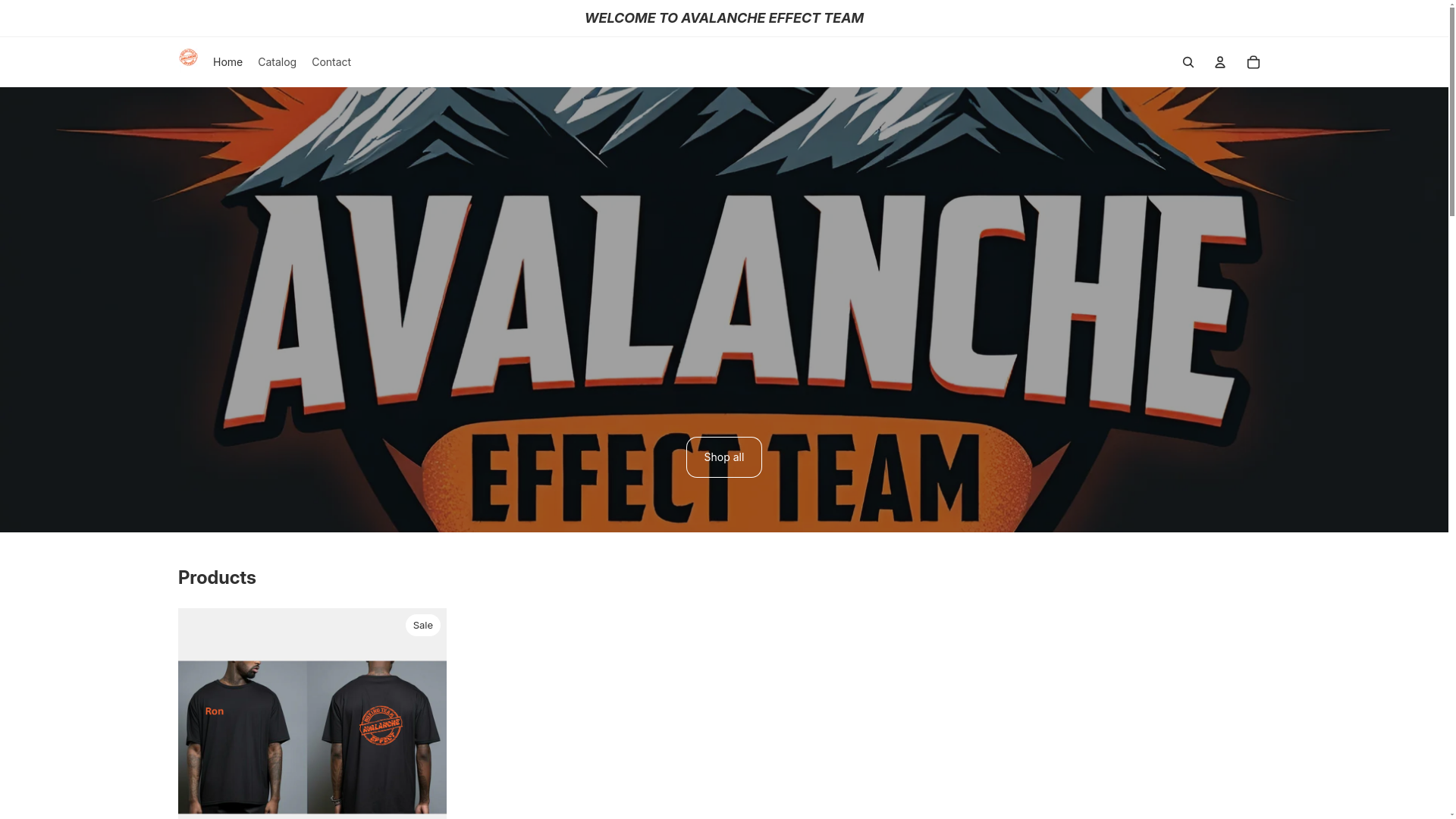 website screenshot of https://avalancheteam.co.uk/