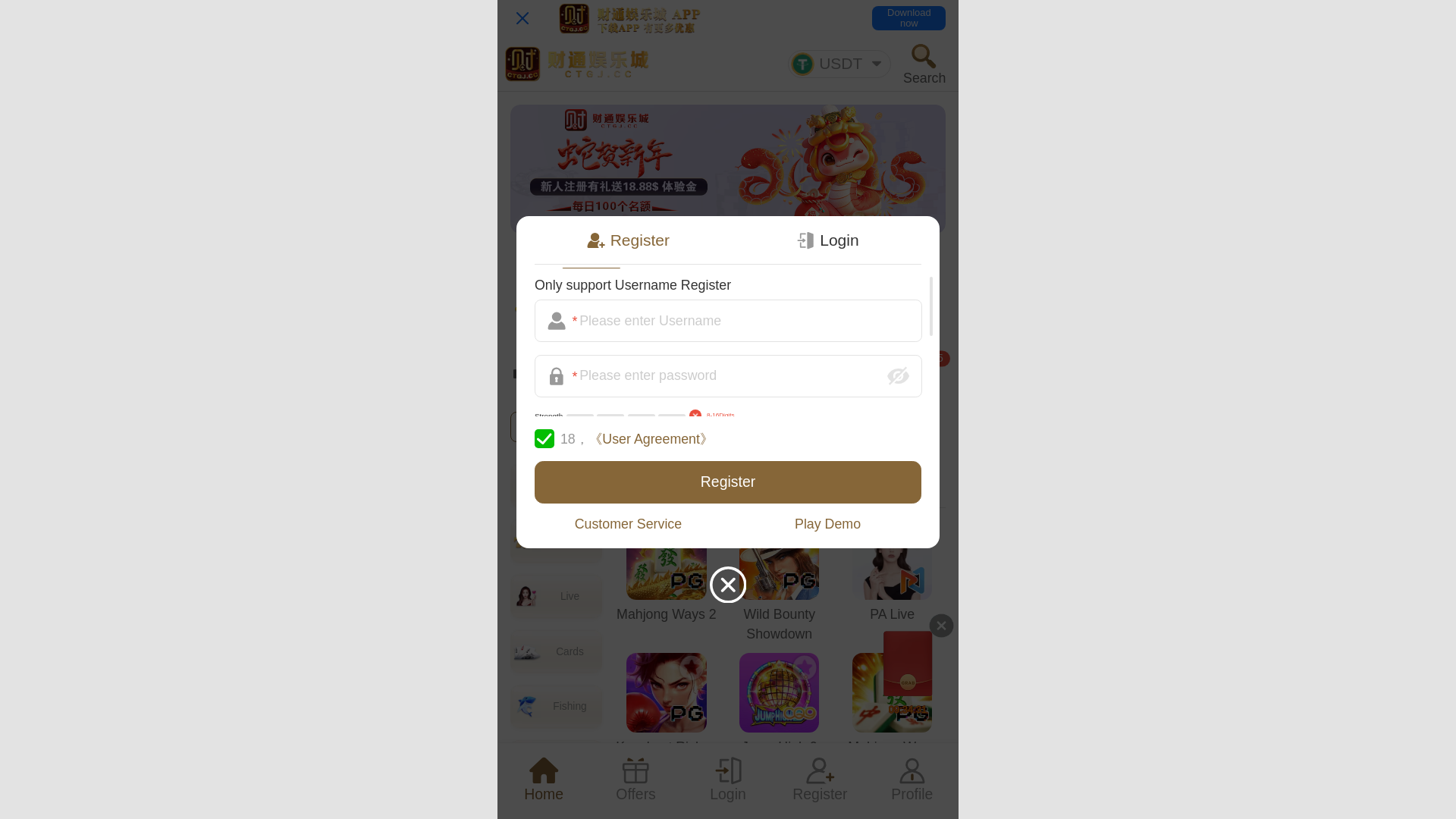 website screenshot of https://ctgj003.cc/