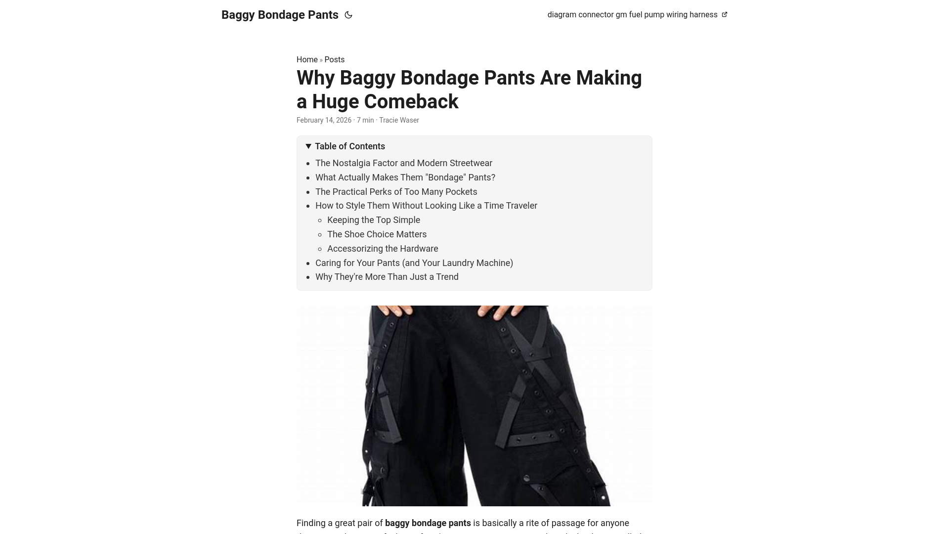 website screenshot of https://baggy-bondage-pants.pages.dev/