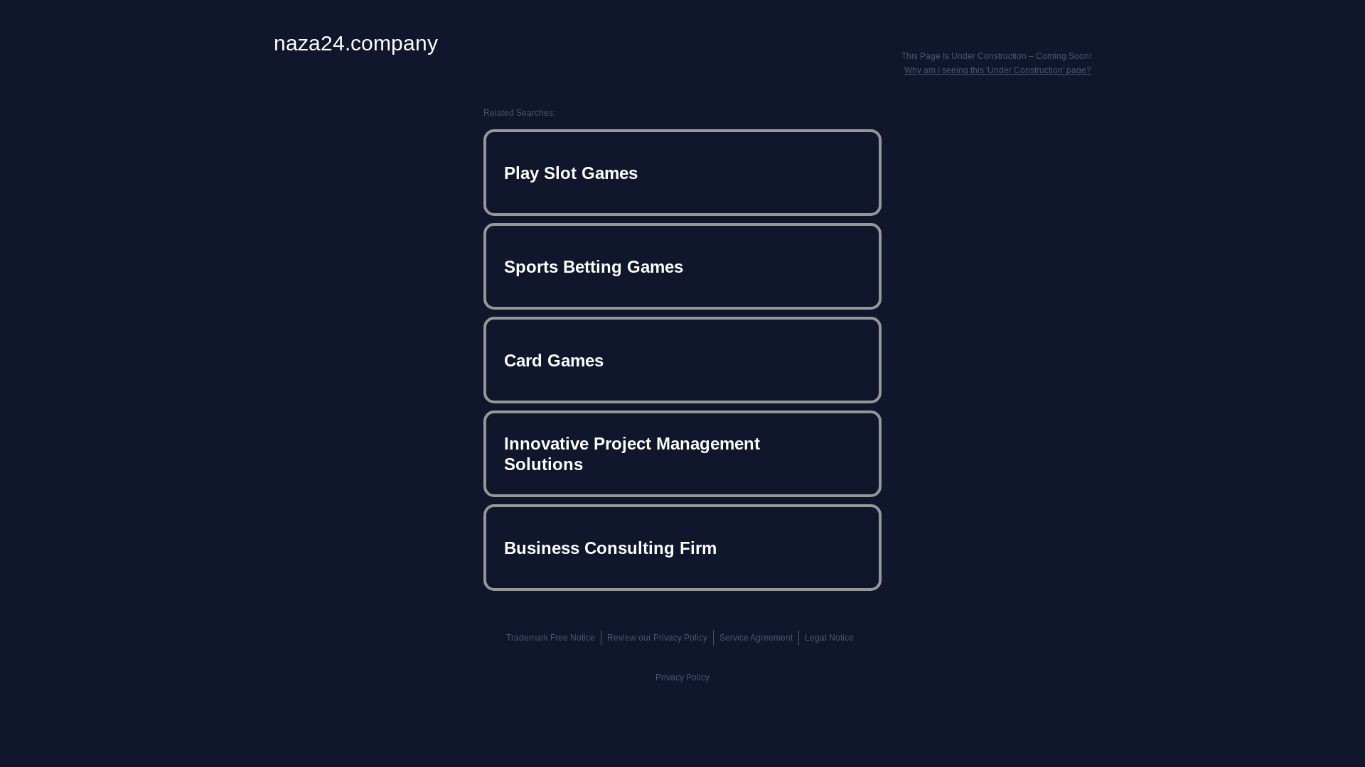 website screenshot of https://naza24.company/