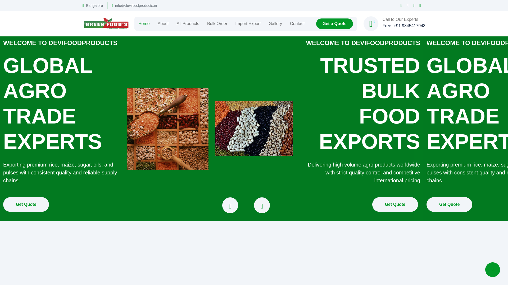 website screenshot of https://devifoodproducts.in