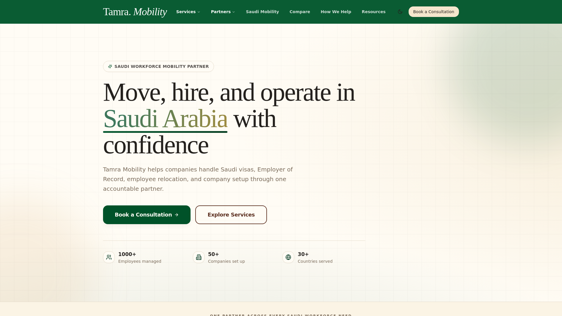 website screenshot of https://tamramobility.com/