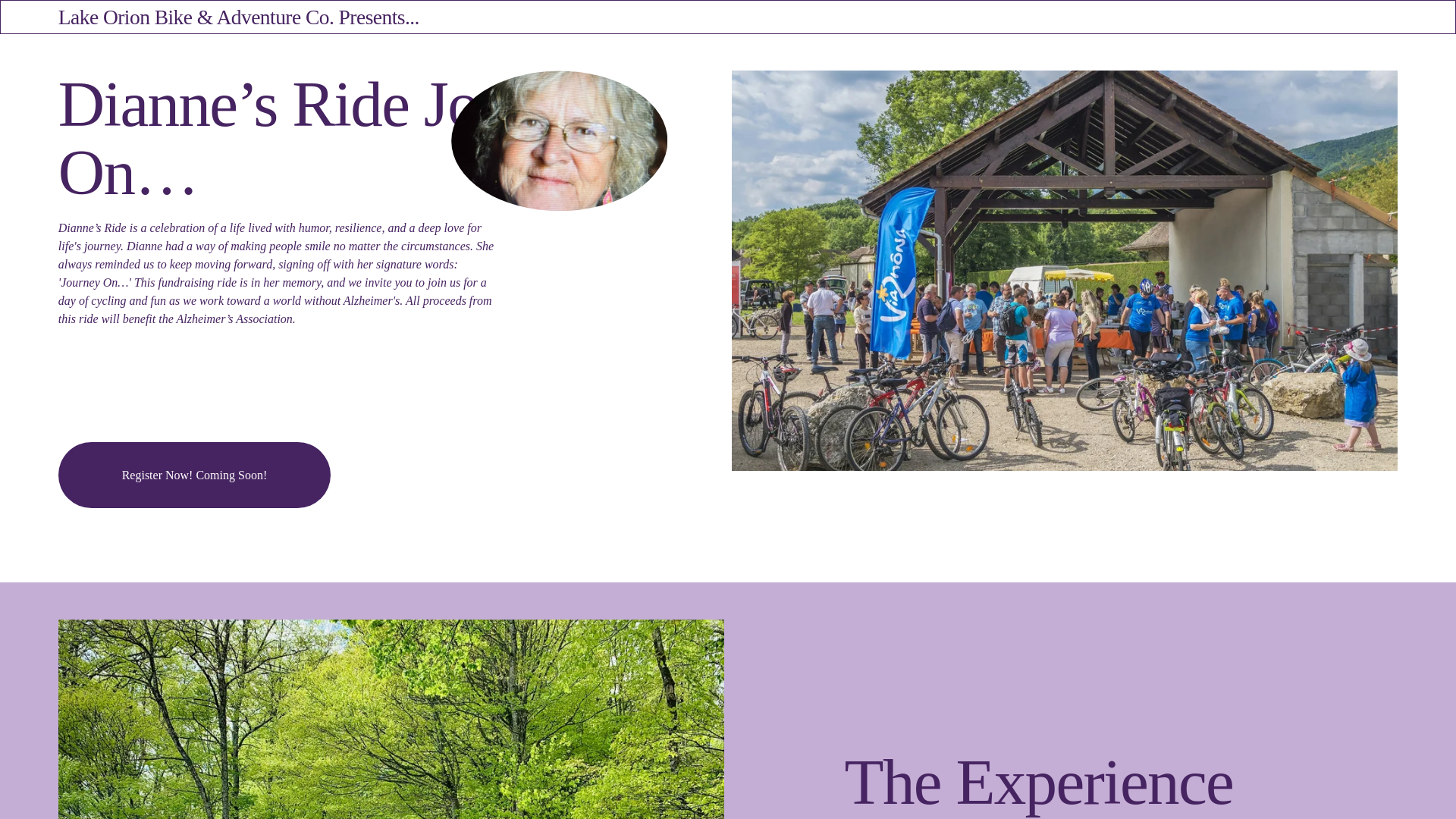 website screenshot of https://diannesride.com
