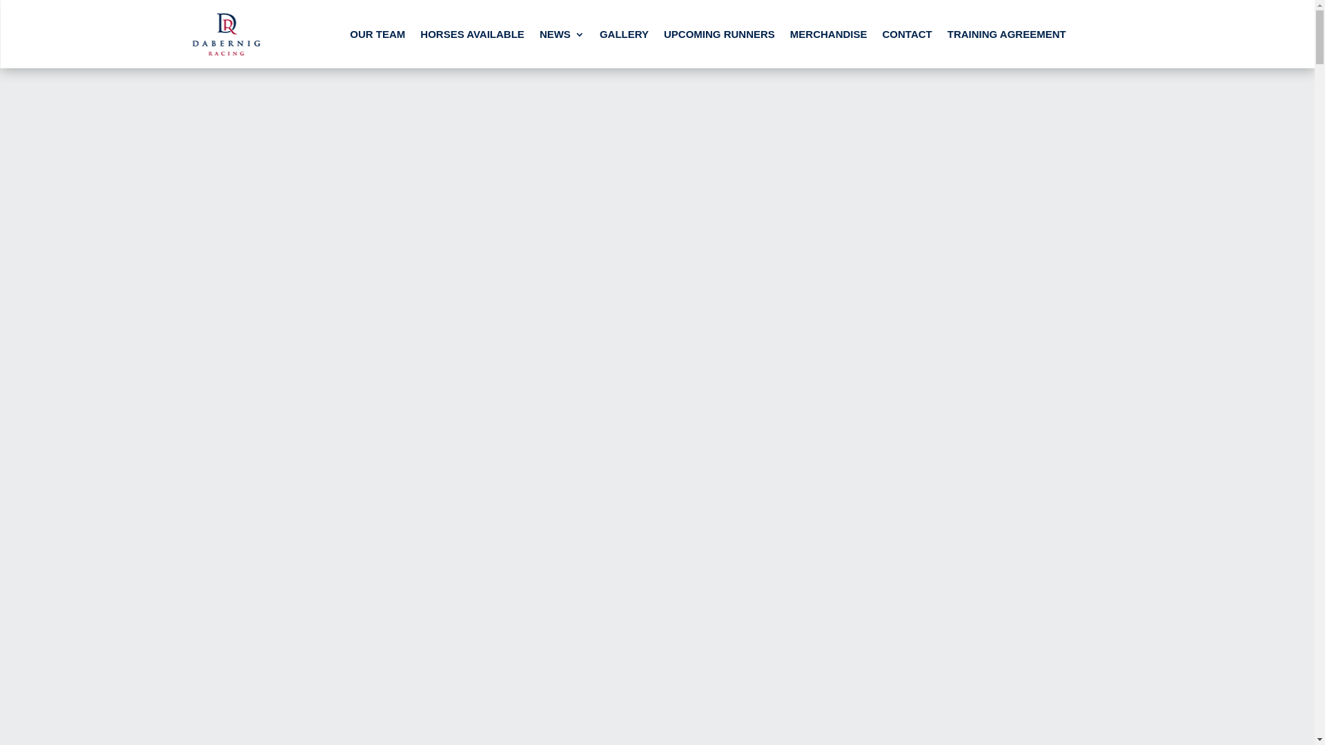website screenshot of https://dabernigracing.online/