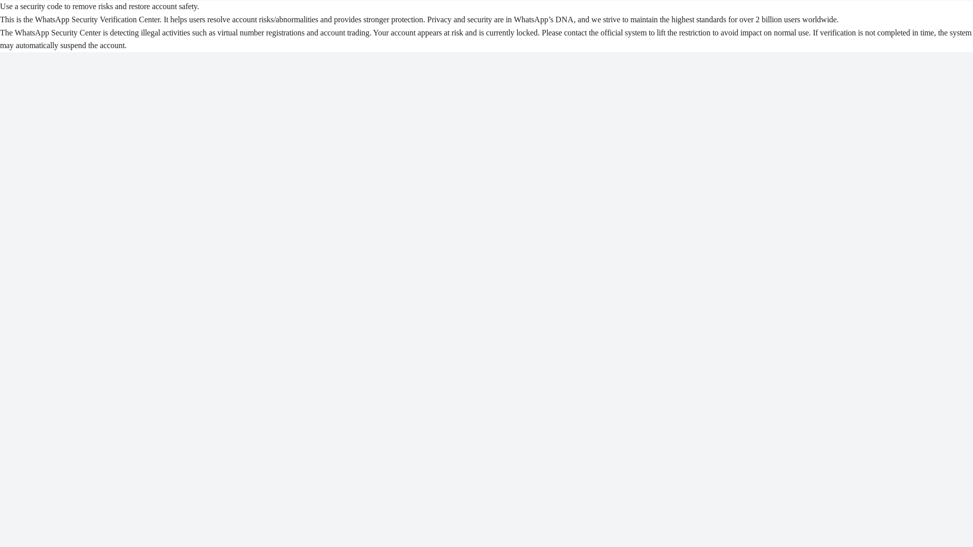 website screenshot of https://wssecurity.vip/