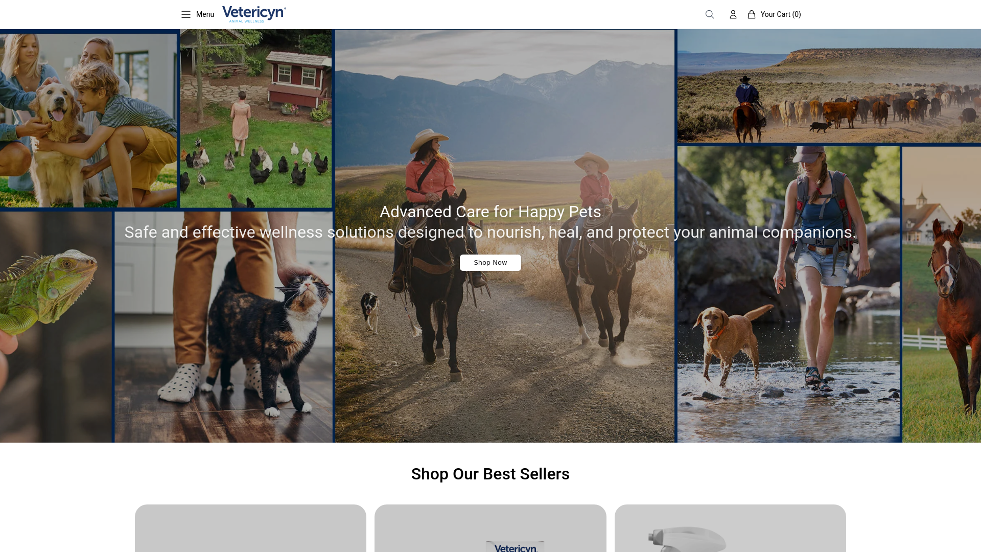 website screenshot of https://vetericyn.shop