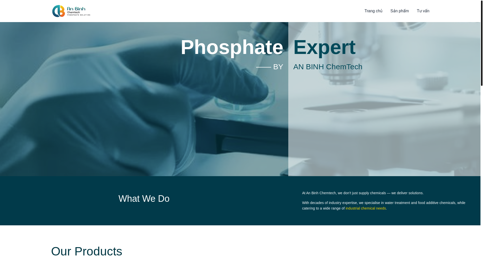 website screenshot of https://anbinhchem.com.vn/