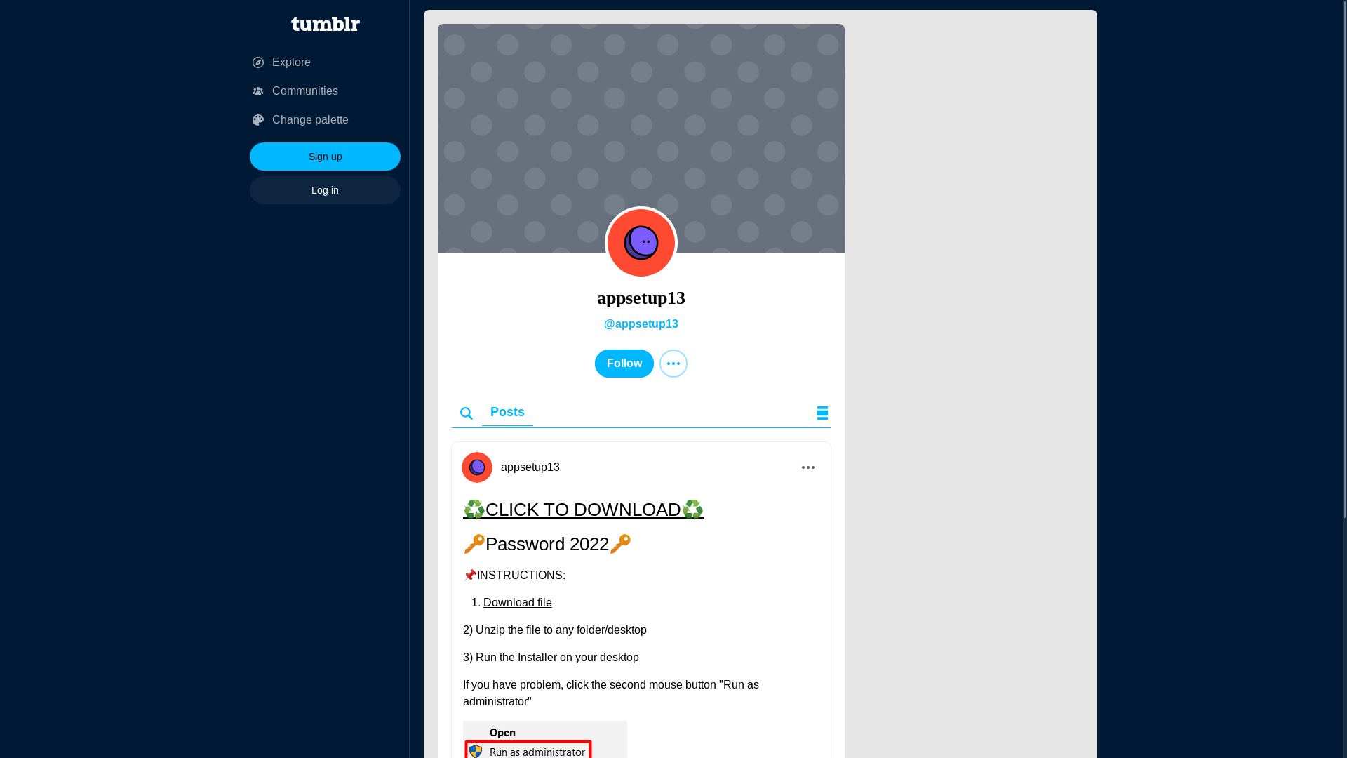 website screenshot of https://www.tumblr.com/blog/appsetup13