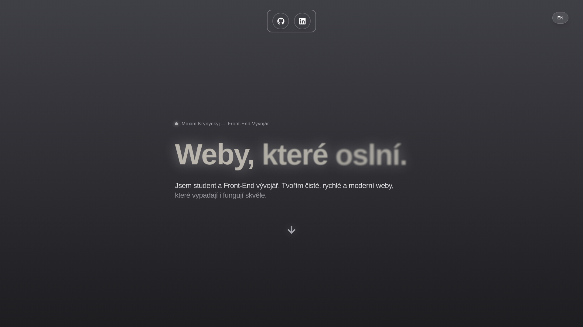 website screenshot of https://krynyckyj.dev/