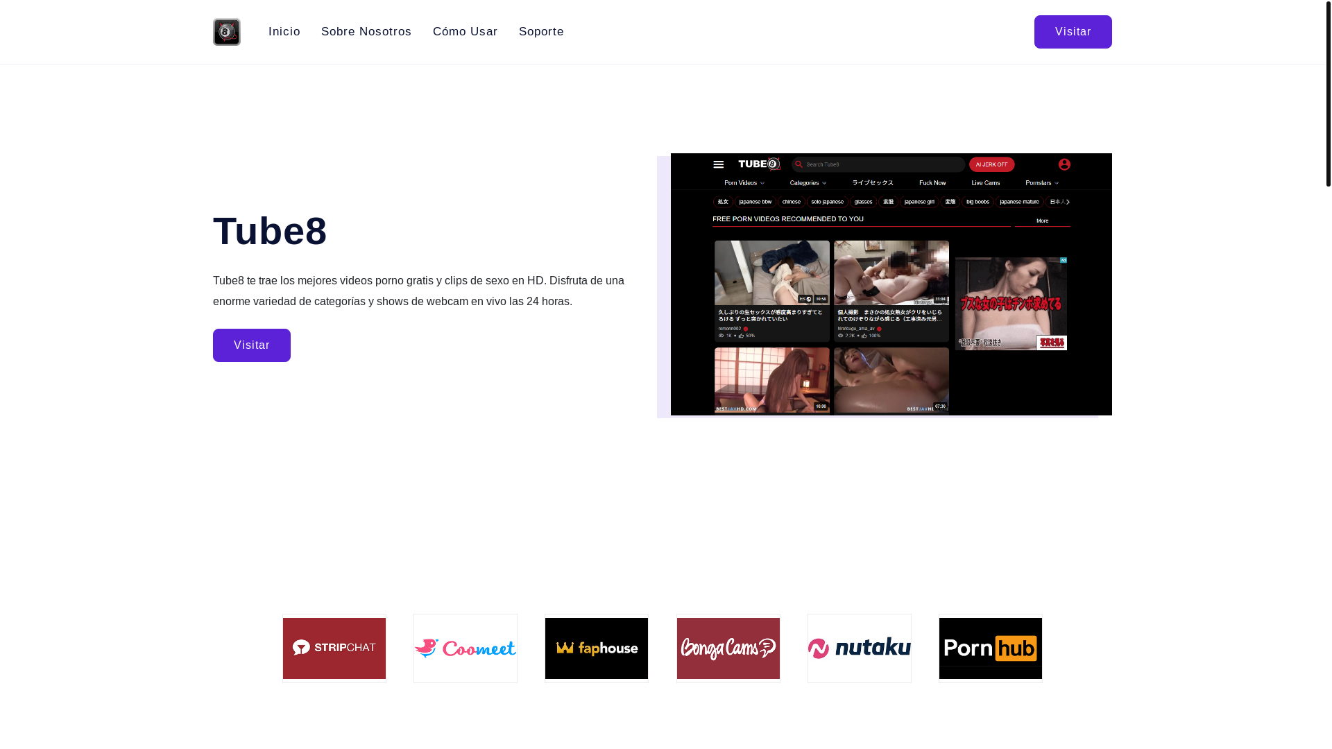 website screenshot of https://tube8-spanish.com/