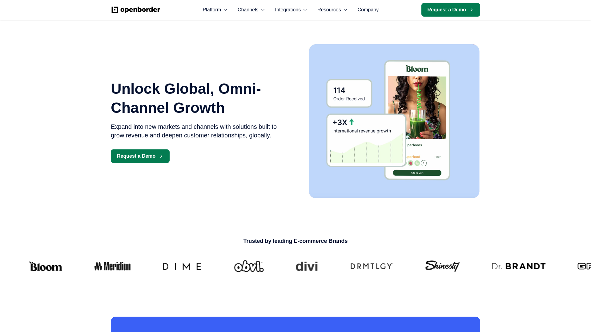 website screenshot of https://openbordernow.com/