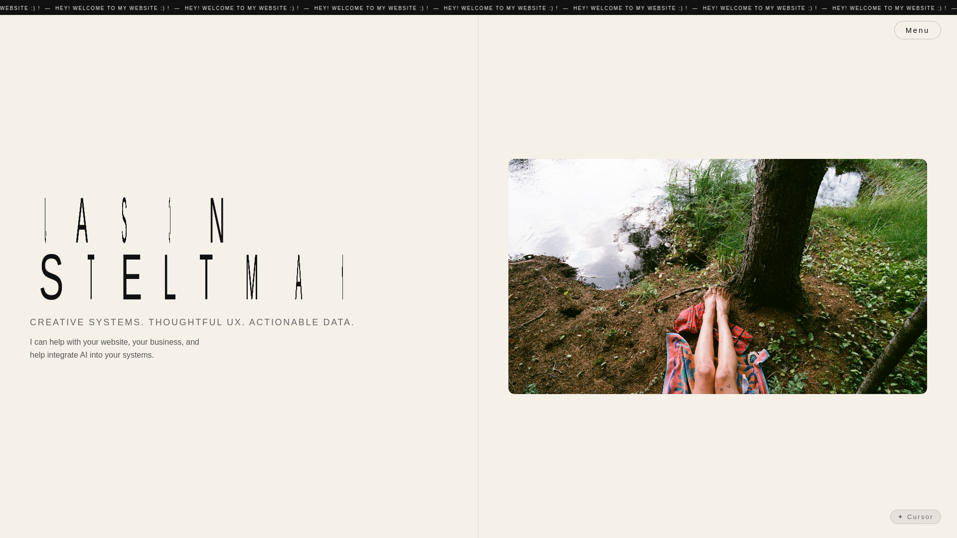 website screenshot of https://jasonsteltman.com/