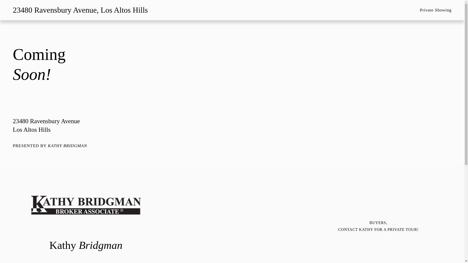 website screenshot of https://23480ravensbury.com/