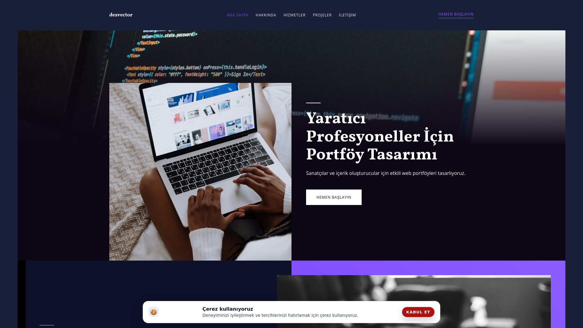 website screenshot of https://desvector.company