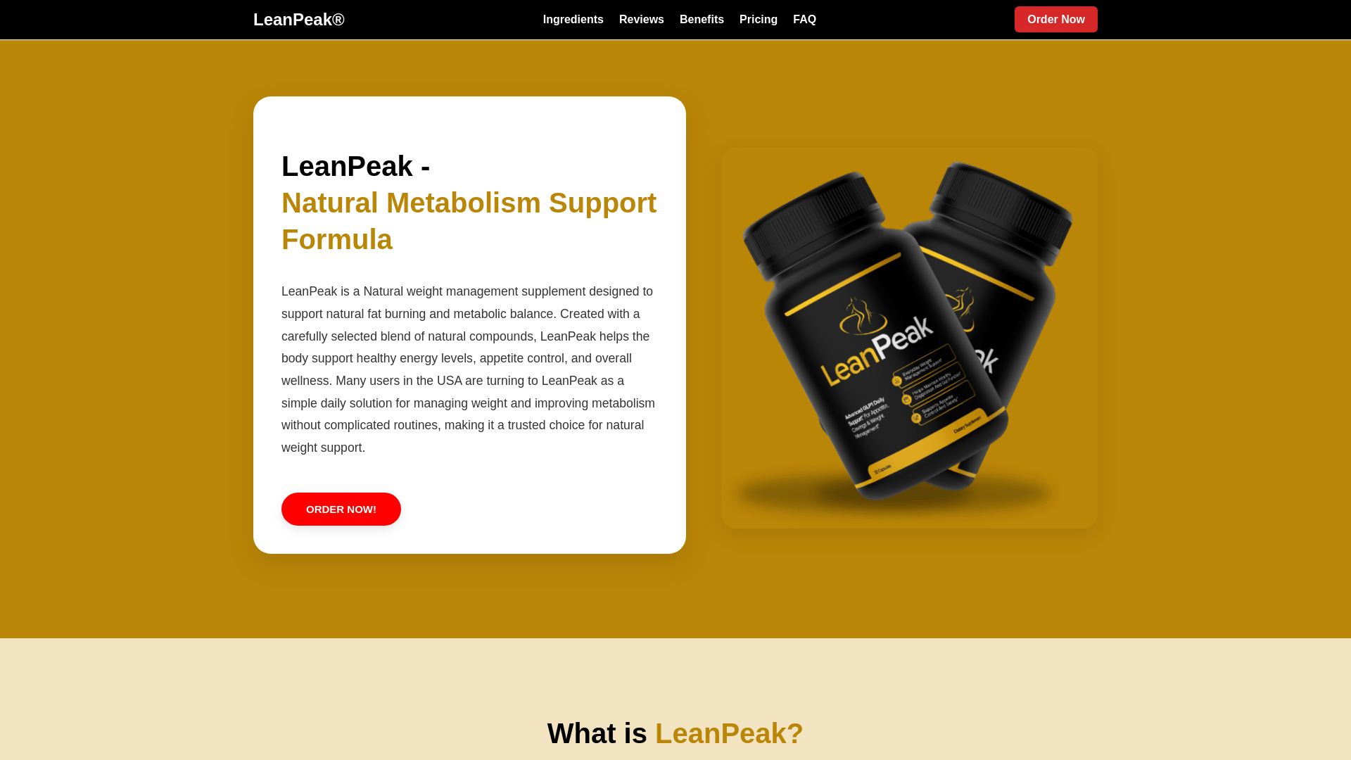 website screenshot of https://leanpeak.one/