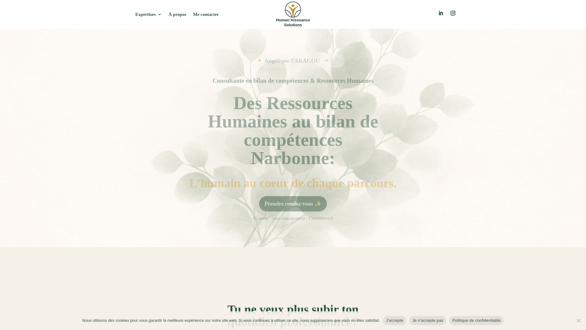 website screenshot of https://humanaissancesolutions.com/