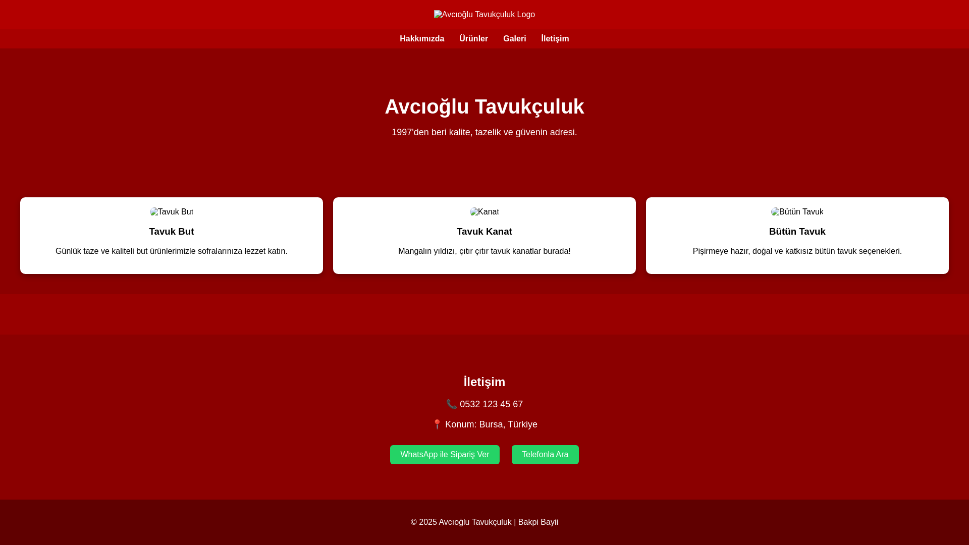 website screenshot of https://avcioglutavuk.xyz/