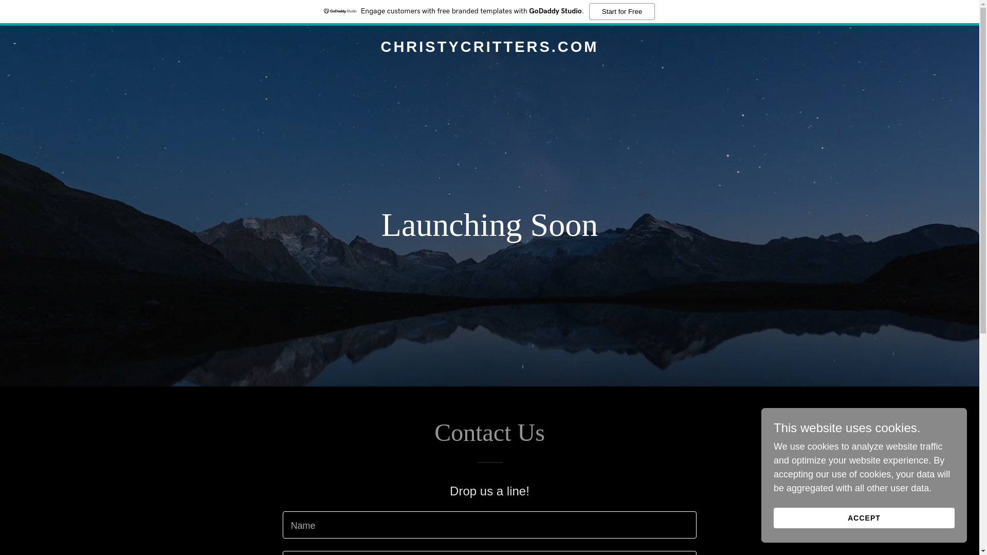 website screenshot of https://christycritters.com/