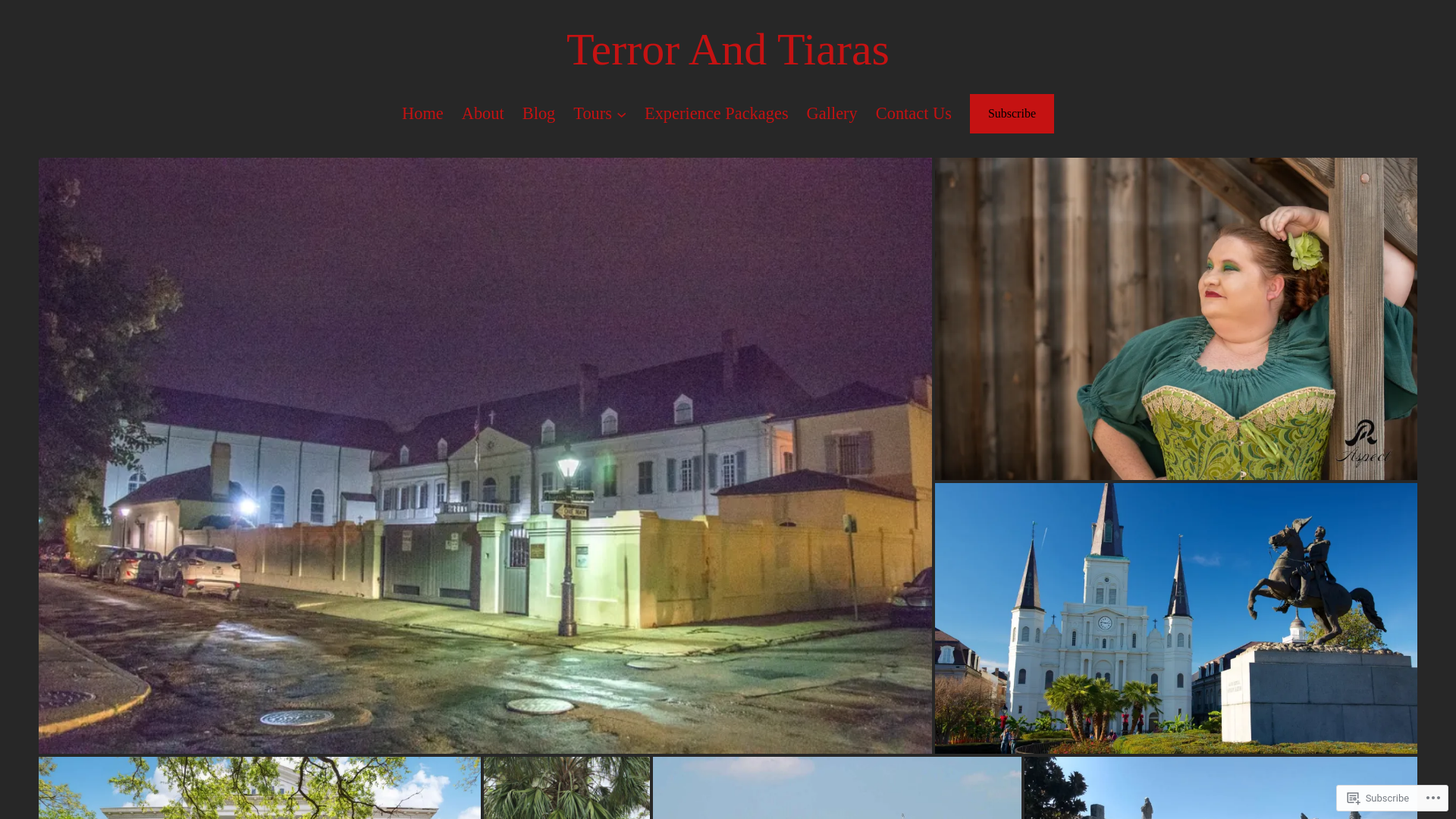 website screenshot of https://terrorandtiaras.com