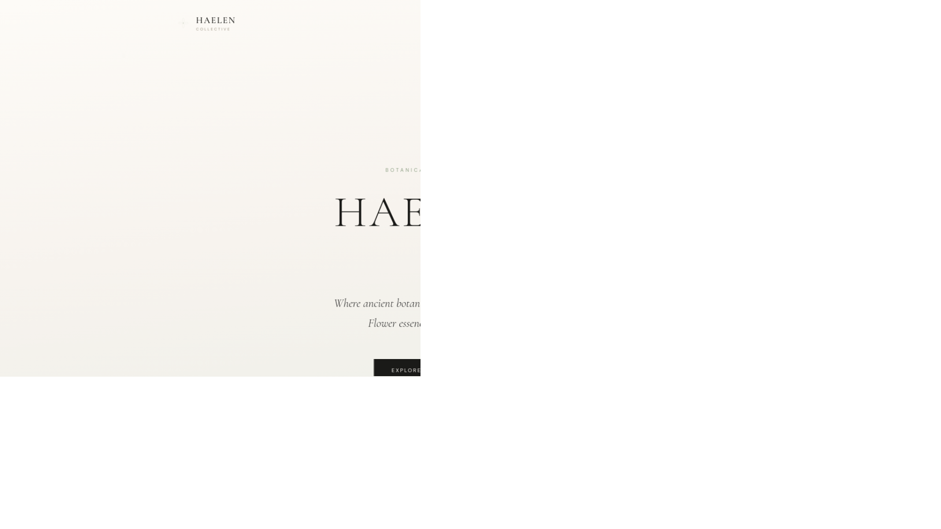 website screenshot of https://haelencollective.com