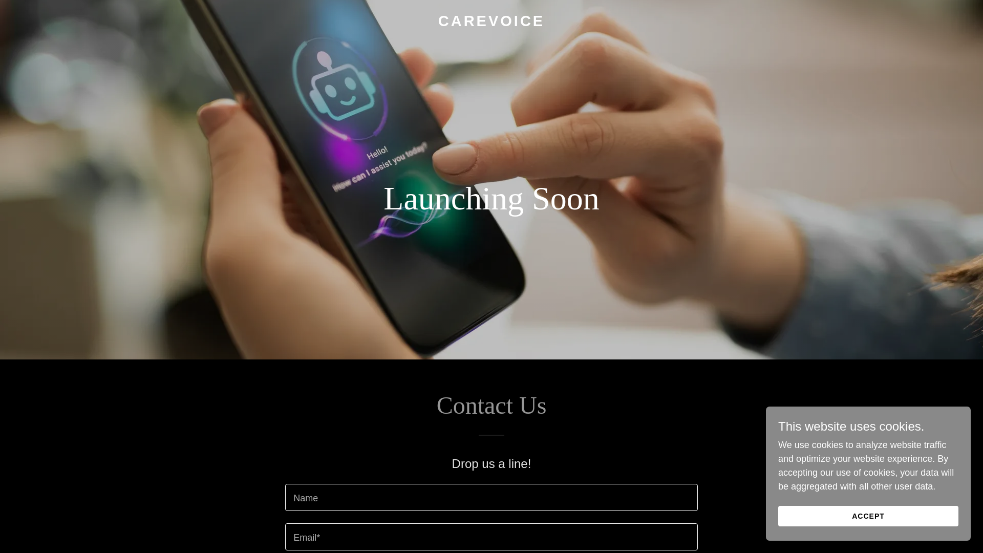 website screenshot of https://carevoiceapp.ai/