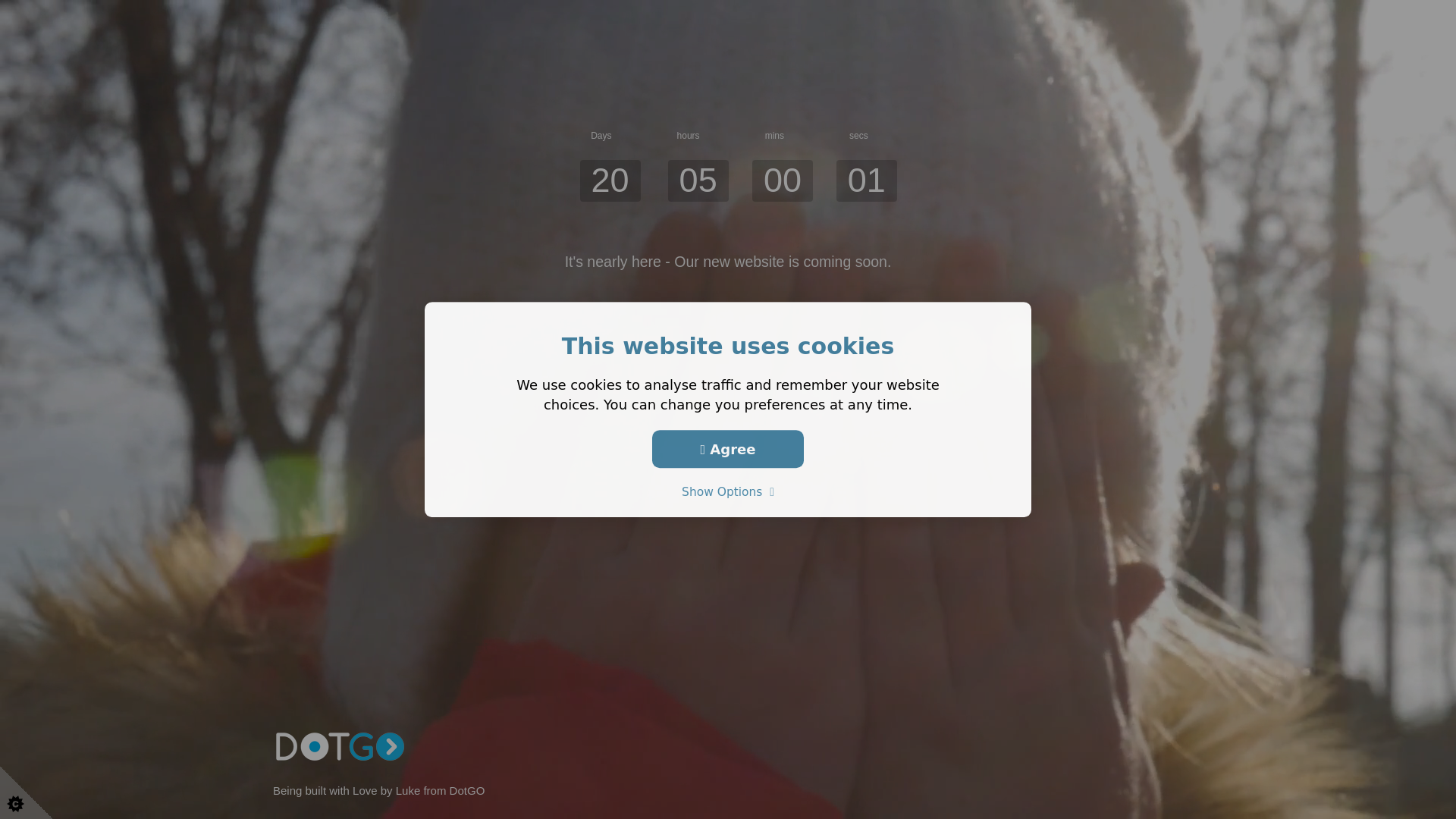website screenshot of https://skdoubleglazingltd.co.uk/