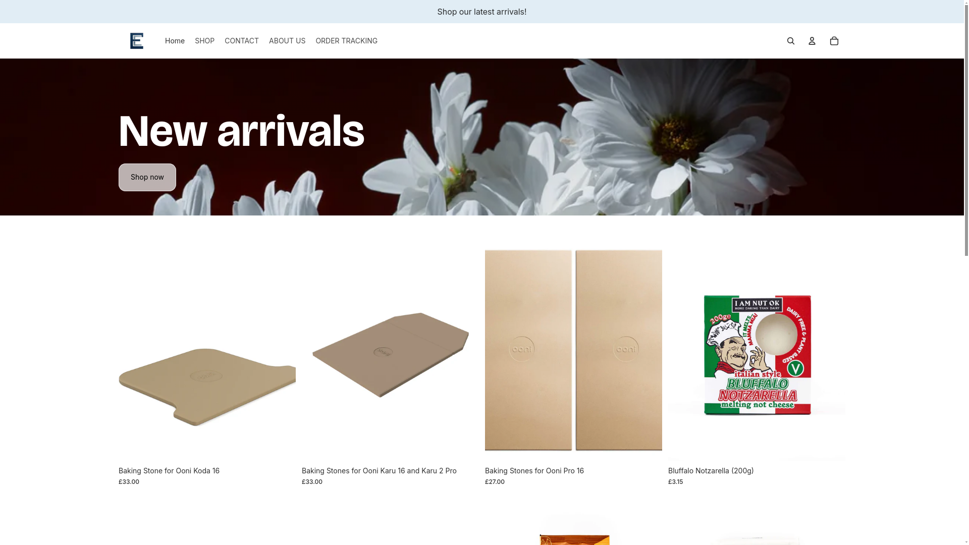 website screenshot of https://tewynzo.com/
