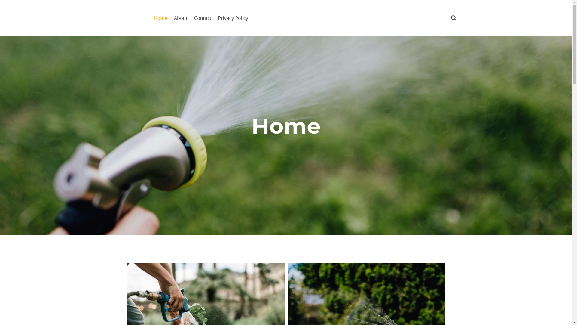 website screenshot of https://wateringhoses-puio.pages.dev/