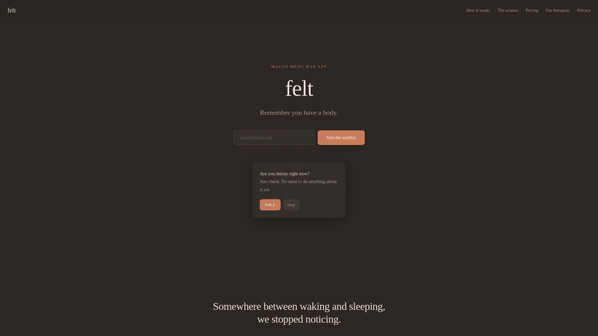 website screenshot of https://felt.place