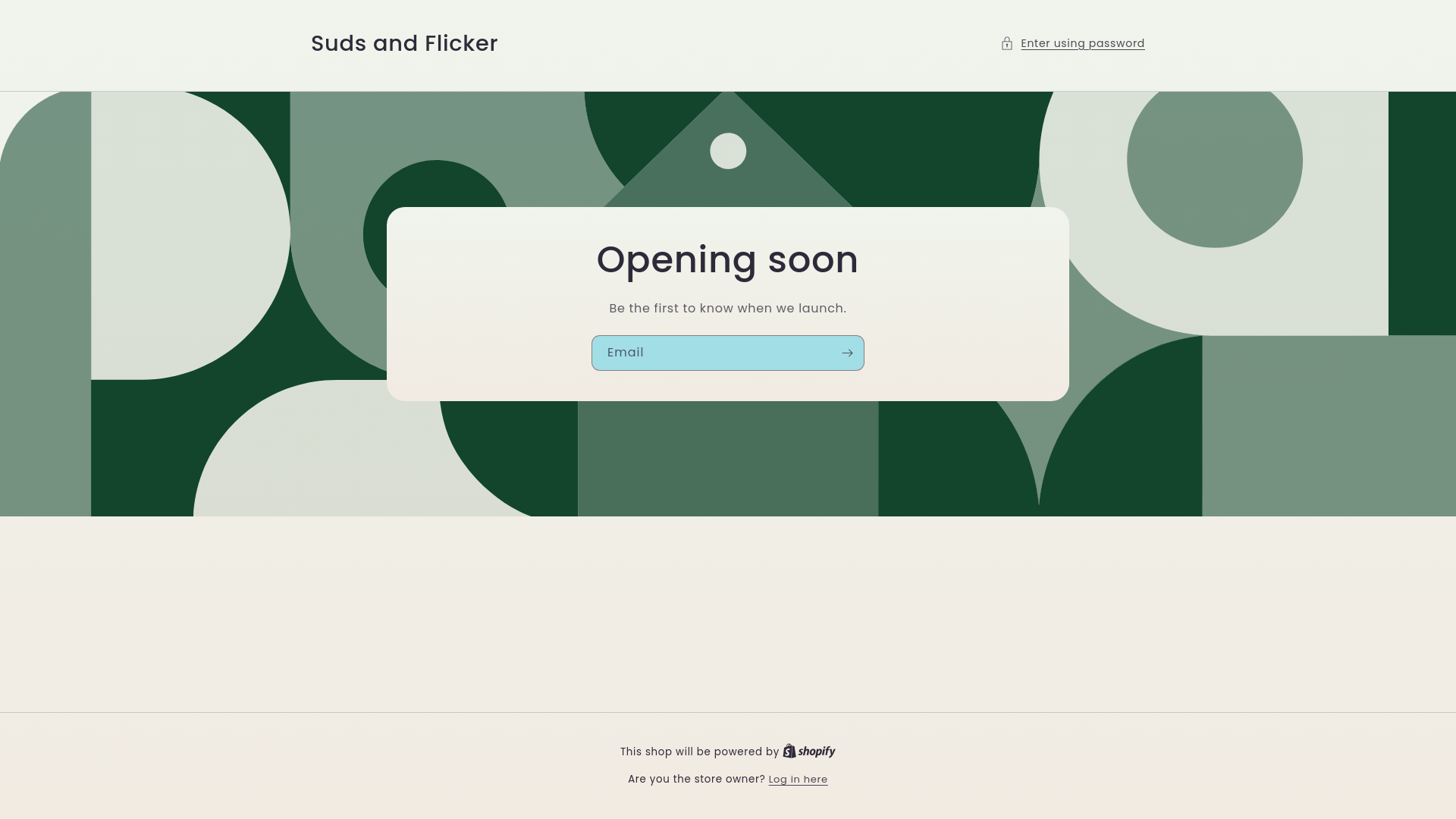 website screenshot of https://sudsandflicker.com/