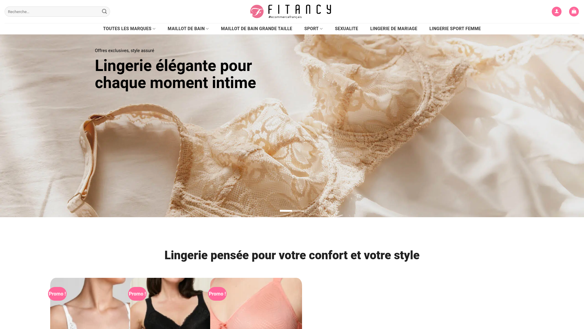 website screenshot of https://fitancysfr.com/