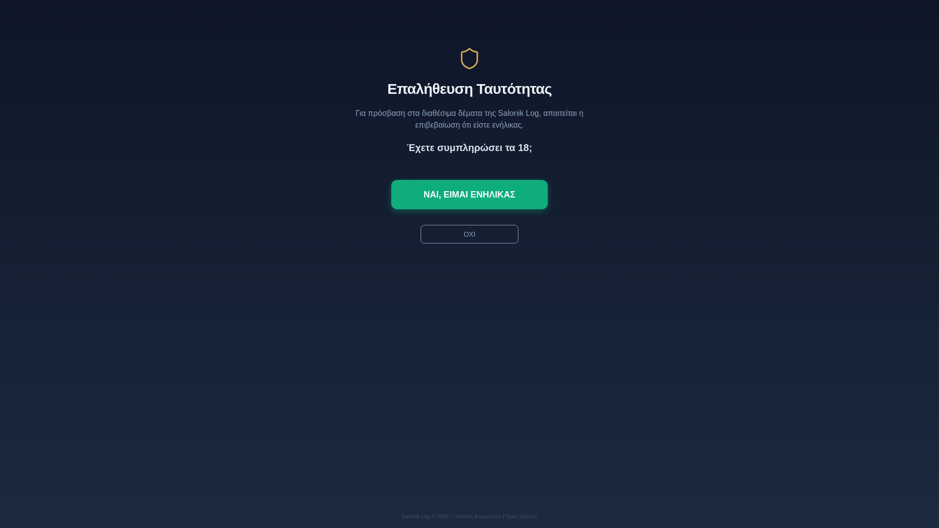 website screenshot of https://saloniklog.shop/