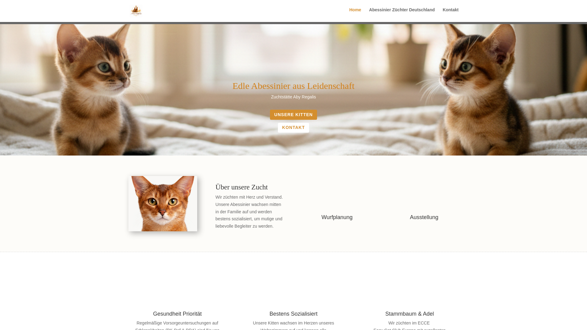 website screenshot of https://abessinierkatze.ch