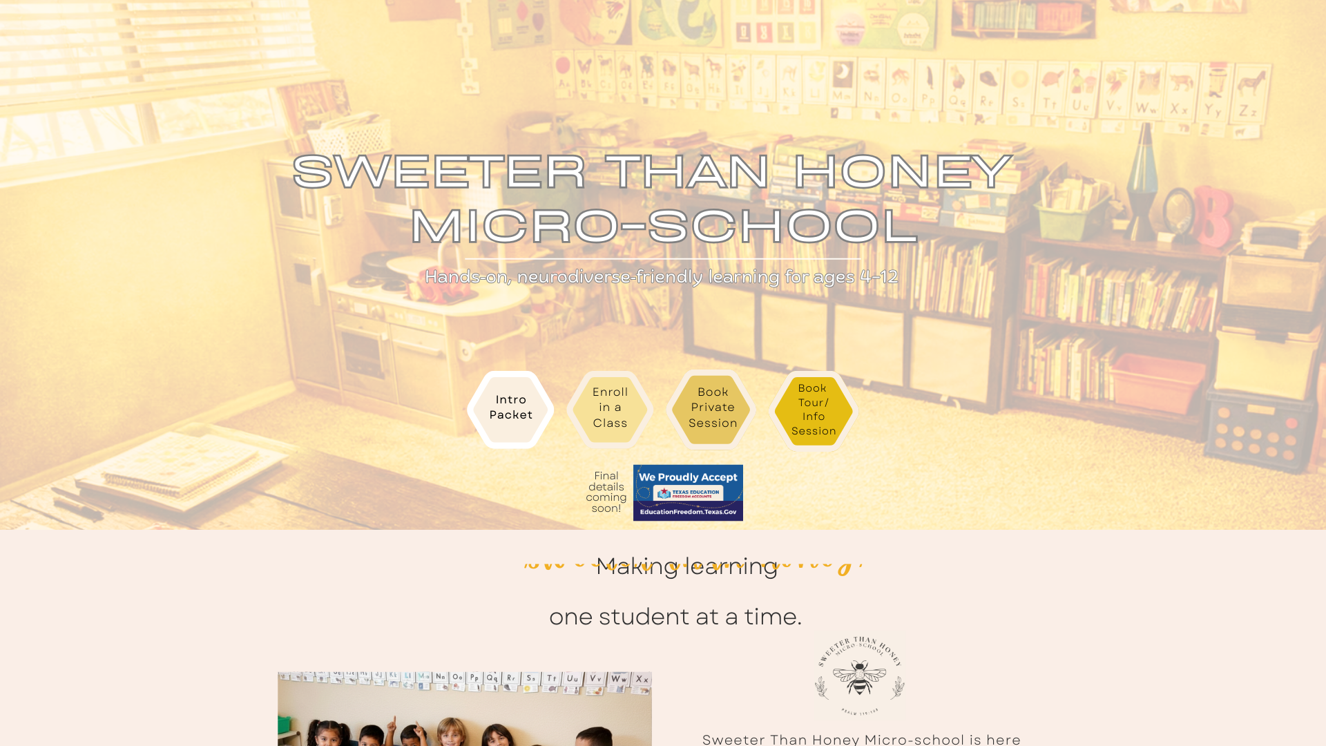 website screenshot of https://sthmslearning.com