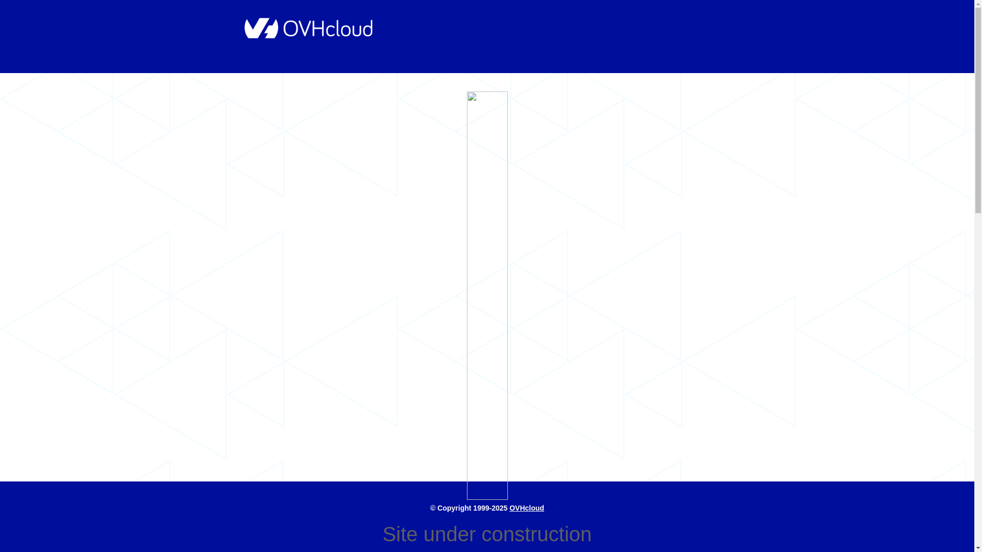 website screenshot of https://alfahavacilik.org/