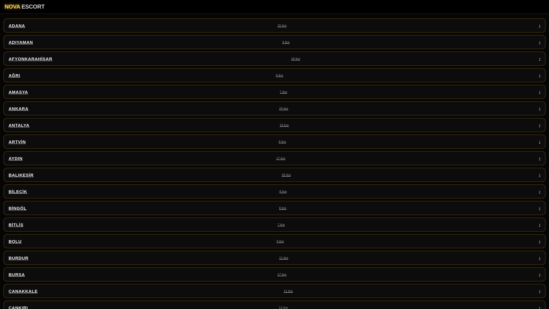website screenshot of https://shortev.vip
