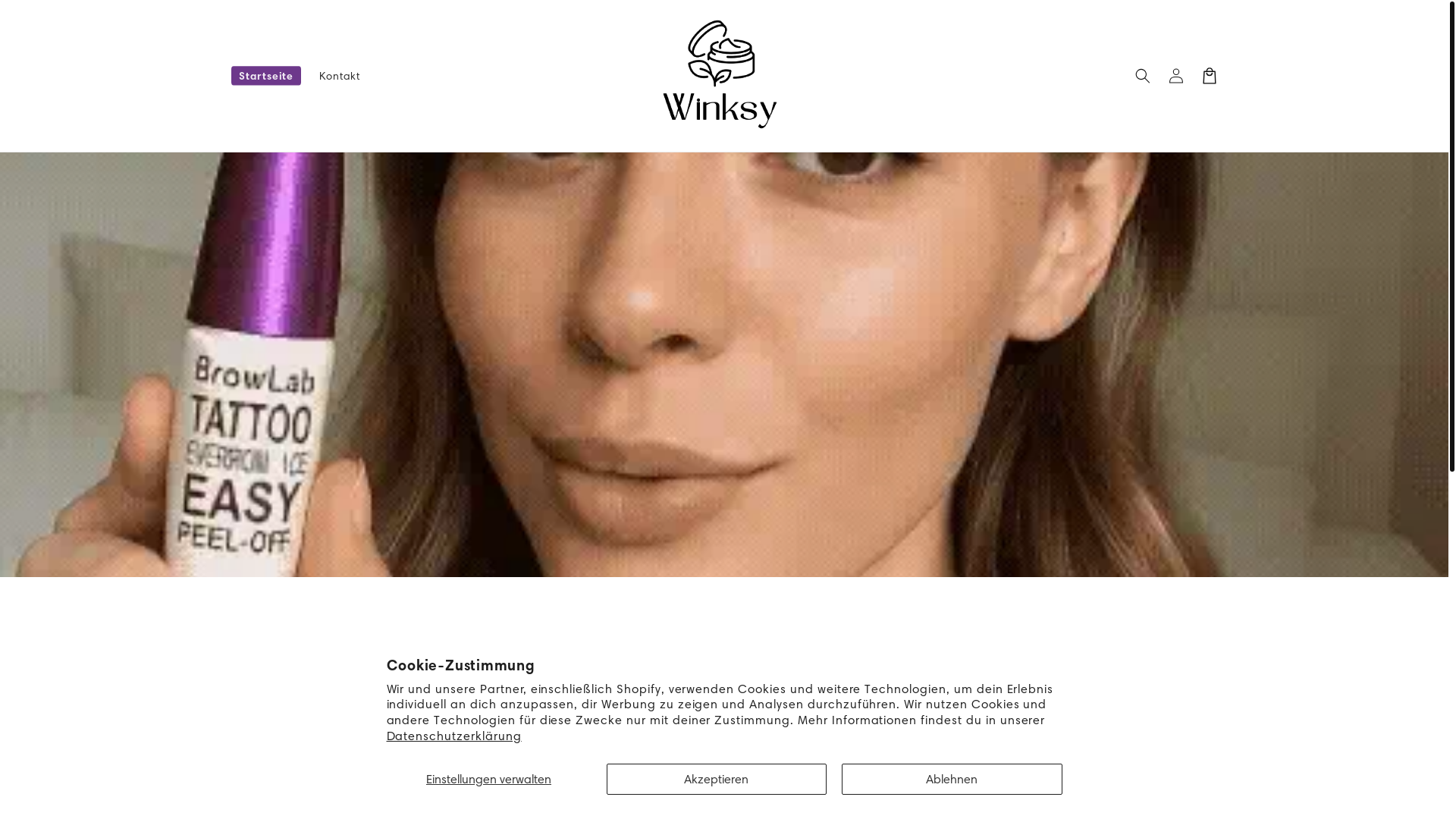 website screenshot of https://winsky-store.com/