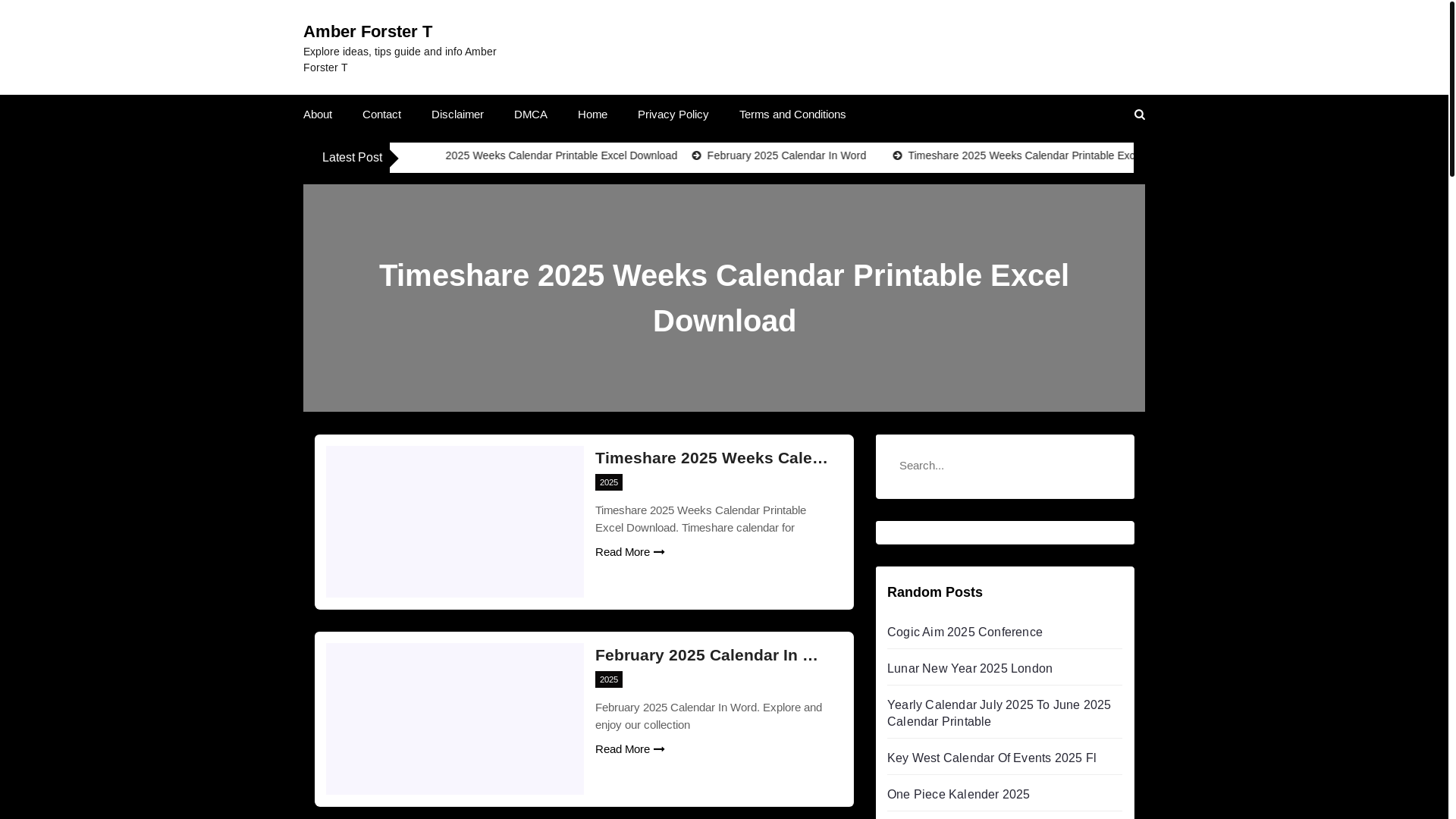website screenshot of https://amberforstert.pages.dev/