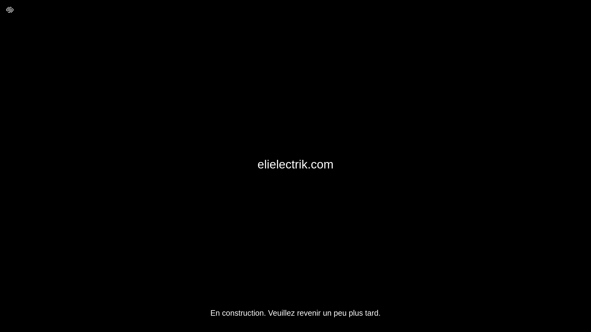 website screenshot of https://elielectrik.com/