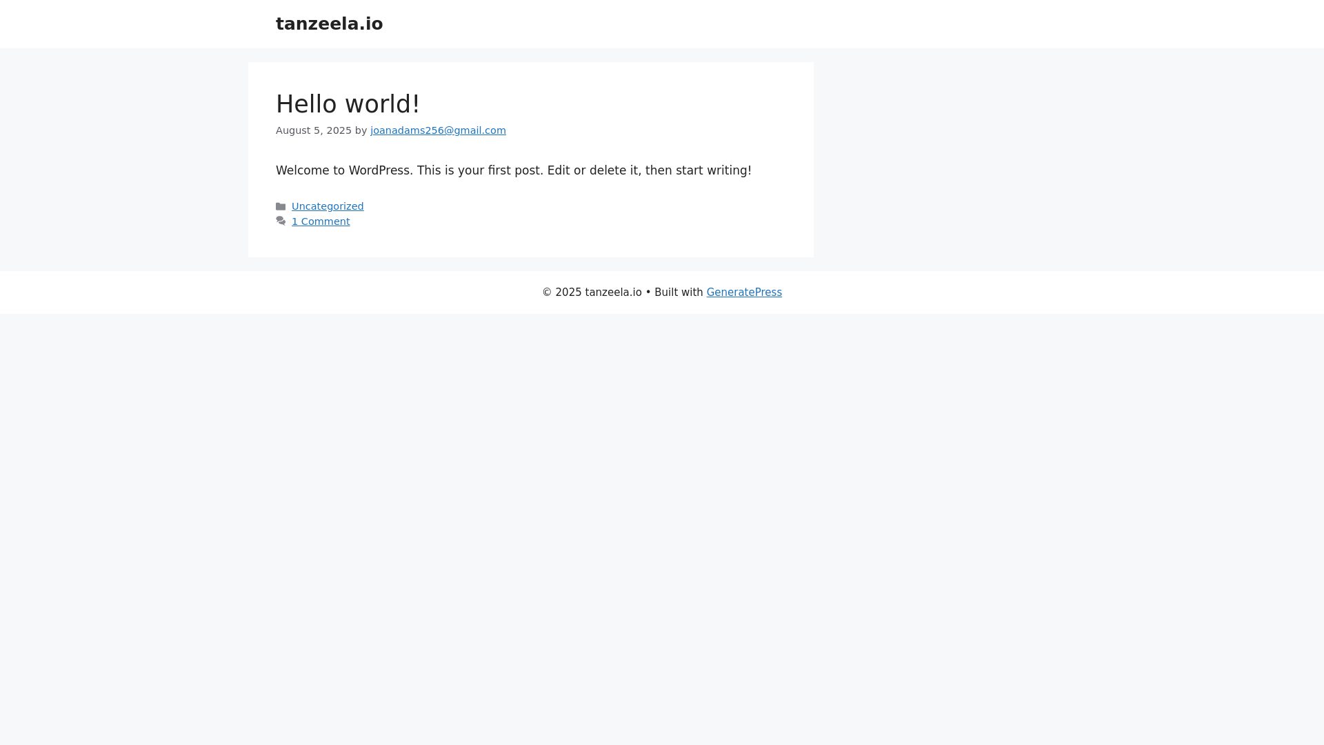 website screenshot of https://tanzeela.io/